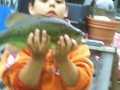dombigbass